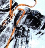 Kleid der Venus, Detail  Materialdruck
