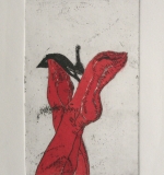 Rote Beine